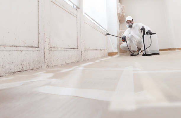 24/7 Emergency Commercial Mold Remediation experts in Chapel Hill, NC