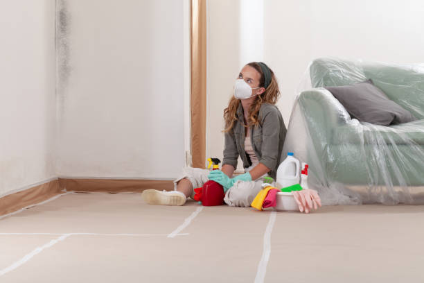 Reliable Commercial Mold Remediation contractor in Chapel Hill, NC by WQB Mold Removal